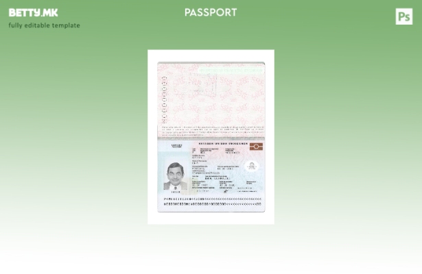 модерен стил Мексикански пасош нов сегашен шаблон